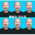 馬蘭花(騰格爾創作並演唱的歌曲) 馬蘭花(騰格爾創作並演唱的歌曲)