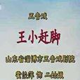 王小趕腳 王小趕腳