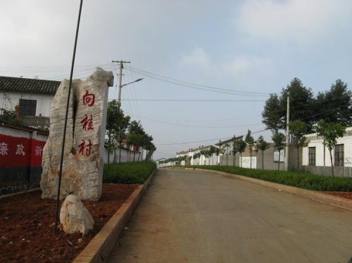 向桂社區 向桂社區