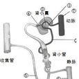 收集管 收集管
