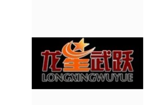 龍星武躍 龍星武躍
