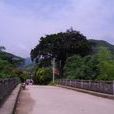 九都鎮(福建寧德市蕉城區九都鎮) 九都鎮(福建寧德市蕉城區九都鎮)