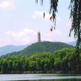 玉峰塔 玉峰塔