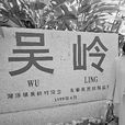 吳嶺村(福建省永春縣湖洋鎮吳嶺村) 吳嶺村(福建省永春縣湖洋鎮吳嶺村)