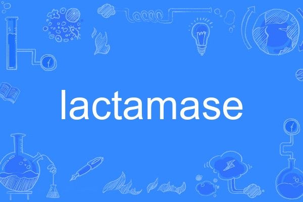 lactamase lactamase