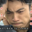 落花淚(夜市人生主題曲) 落花淚(夜市人生主題曲)