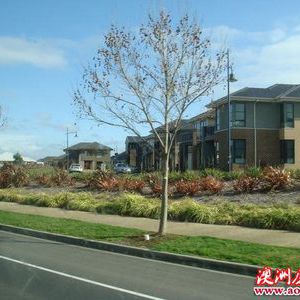 Somerfield Somerfield