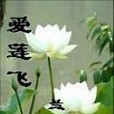 愛蓮飛 愛蓮飛