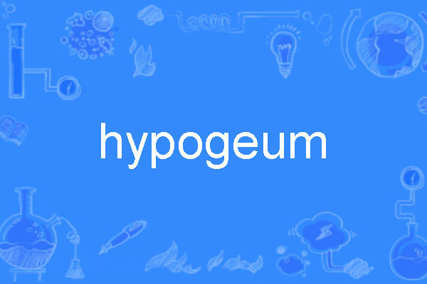 hypogeum hypogeum
