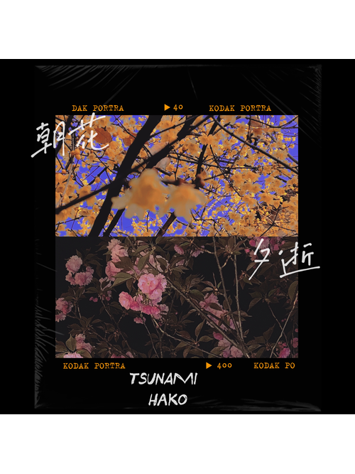 攜手(吳海嘯Tsunami、哈口HaKo演唱的歌曲) 攜手(吳海嘯Tsunami、哈口HaKo演唱的歌曲)