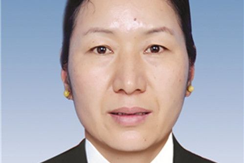 楊潔(雲南省迪慶州紀委常委) 楊潔(雲南省迪慶州紀委常委)