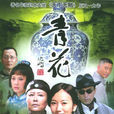 青花(2004年平江鎖金執導電視劇)