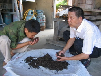 楊山虎