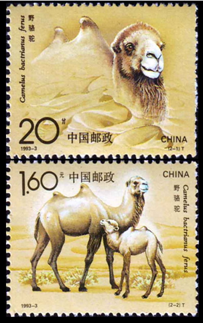 野駱駝(1993年發行的郵票)