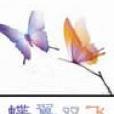 蝶翼雙飛 蝶翼雙飛