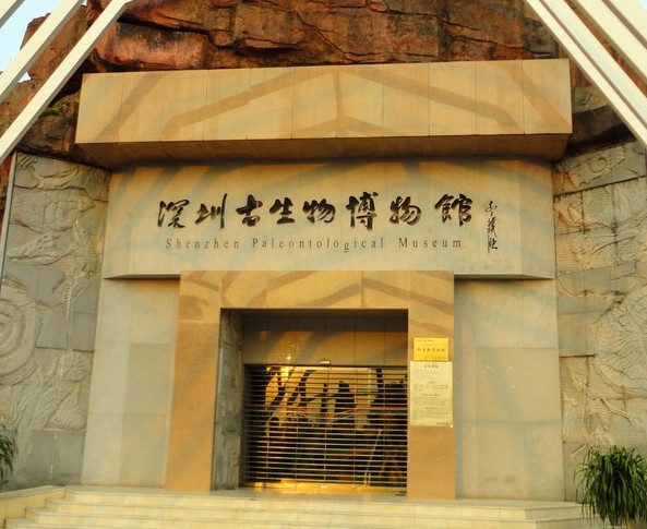 深圳古生物博物館