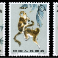 金絲猴(1963年發行的郵票) 金絲猴(1963年發行的郵票)