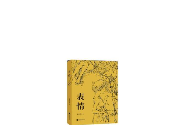 表情(2020年江蘇鳳凰文藝出版社出版圖書) 表情(2020年江蘇鳳凰文藝出版社出版圖書)