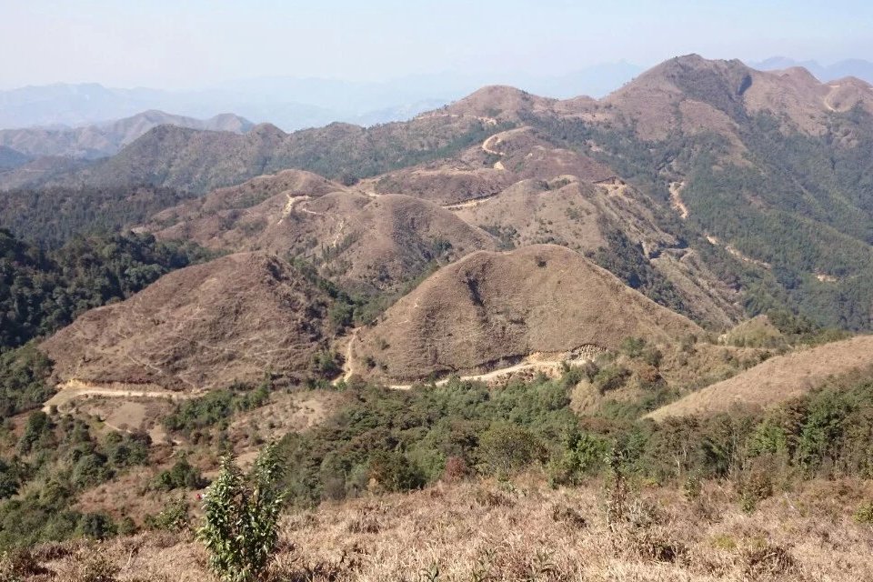 羅排大山 羅排大山