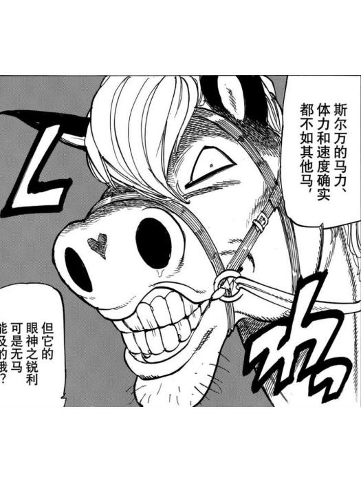 斯爾萬