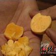 人造假雞蛋