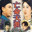 亡命天涯(1996年梁本熙執導電視劇) 亡命天涯(1996年梁本熙執導電視劇)