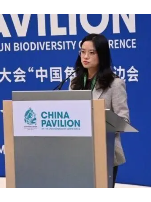 沈秋(杭州原鄉野地生態保護與研究中心執行主任) 沈秋(杭州原鄉野地生態保護與研究中心執行主任)