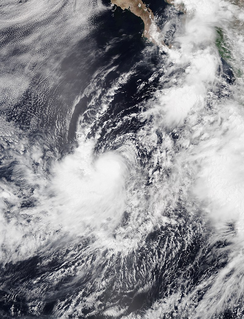 熱帶風暴伊沃 衛星雲圖