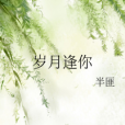 歲月逢你 歲月逢你