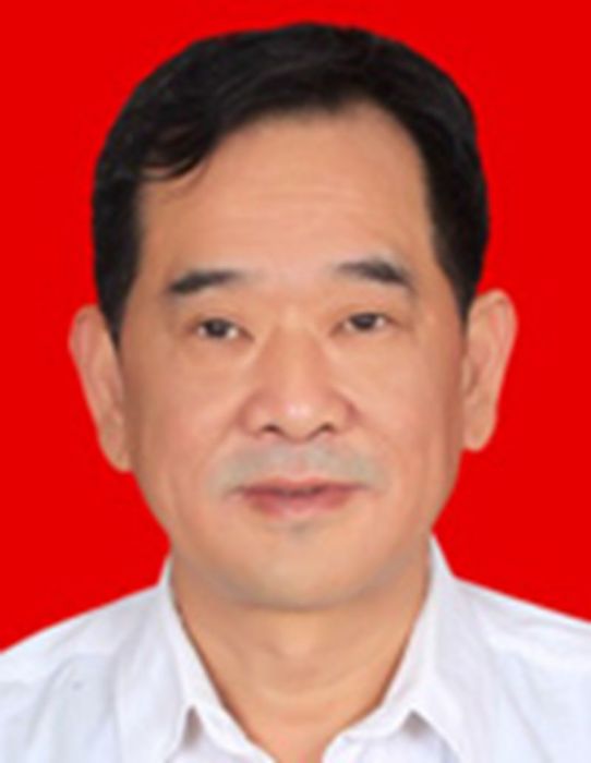 陳新祥(湖北省退役軍人事務廳黨組成員) 陳新祥(湖北省退役軍人事務廳黨組成員)