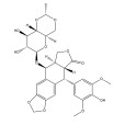 依託泊苷(依託撲沙) 依託泊苷(依託撲沙)
