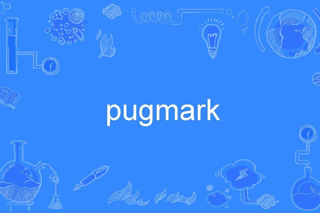 pugmark pugmark