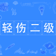 輕傷二級 輕傷二級