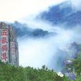 又上後園山腳 又上後園山腳