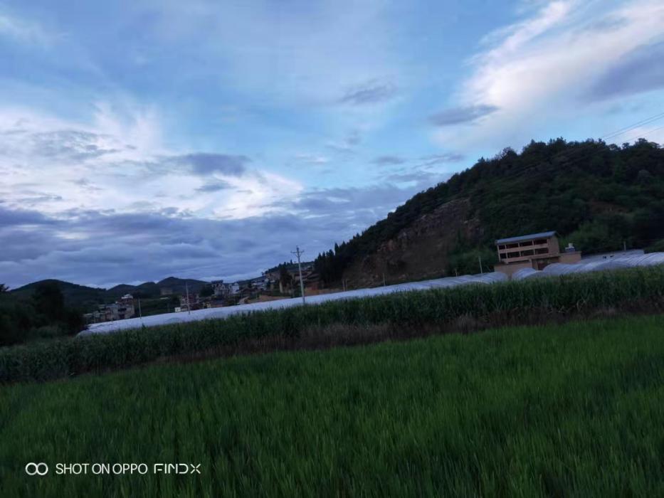得村 得村