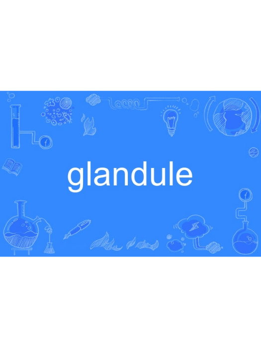 glandule glandule