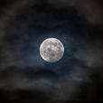 月圓之夜(月亮變圓的夜晚) 月圓之夜(月亮變圓的夜晚)