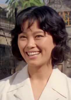 人生(1984年吳天明執導的愛情電影)
