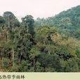 季雨林 季雨林
