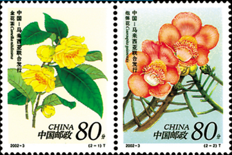 珍稀花卉