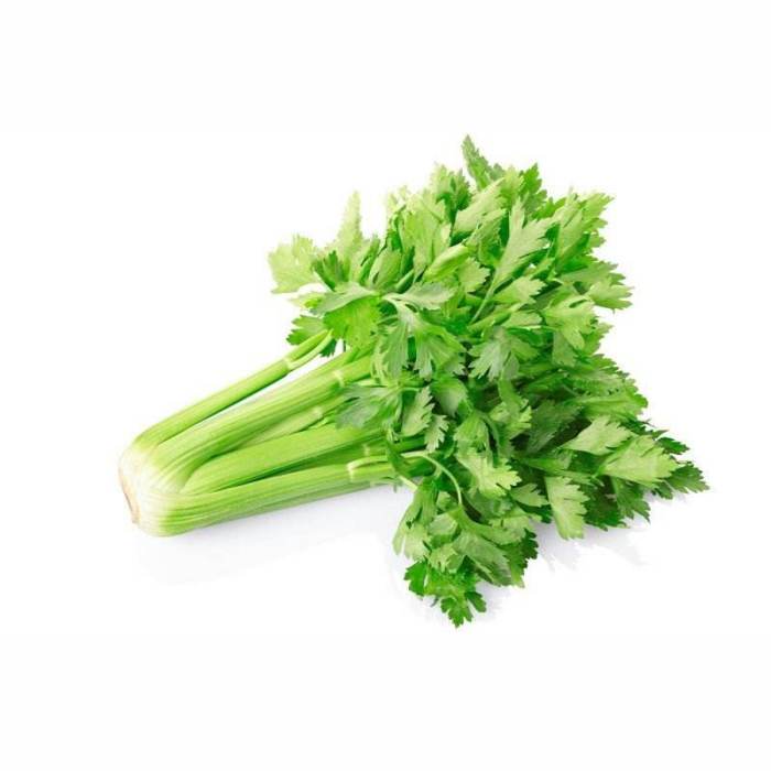 祁家芹菜 祁家芹菜