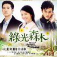 綠光森林 綠光森林