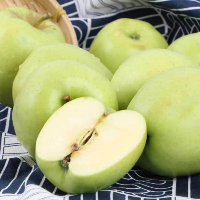 小金蘋果 小金蘋果