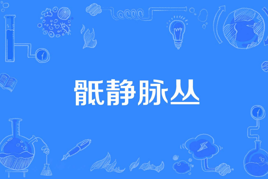 骶靜脈叢 骶靜脈叢