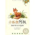 小狐狸阿權 小狐狸阿權