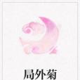 局外菊 局外菊