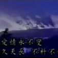 夜霧(鄧麗君單曲) 夜霧(鄧麗君單曲)