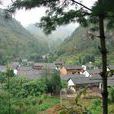 土塘村(雲南省會澤縣雨碌鄉小米村委會下轄村) 土塘村(雲南省會澤縣雨碌鄉小米村委會下轄村)