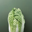結球白菜