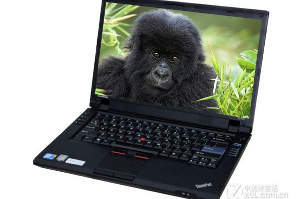 ThinkPad T510i(4313A14) ThinkPad T510i(4313A14)